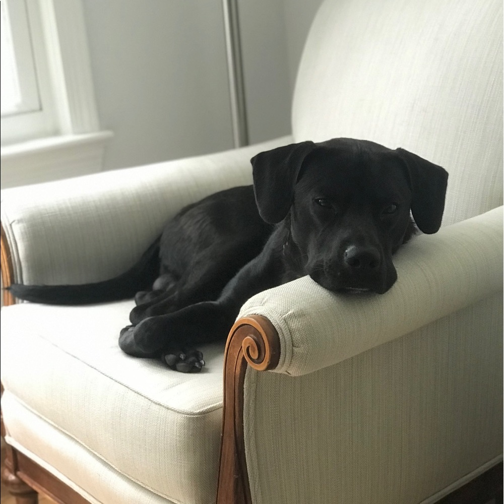 Meet your Posher, Katie